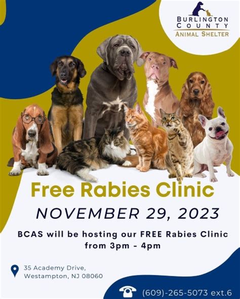 Protect Your Pet: Get Them Vaccinated at Burlington County Animal Shelter's Affordable Rabies Clinic
